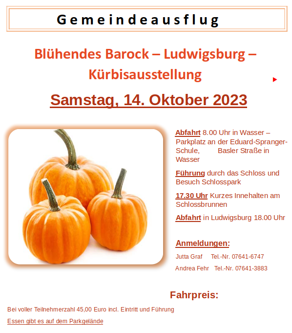 Programm Ausflug